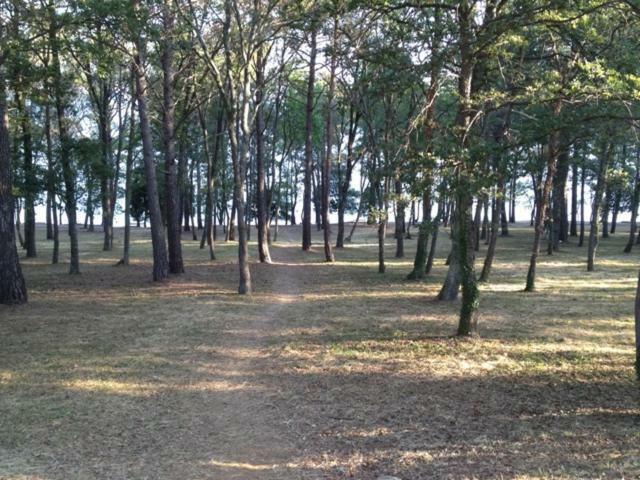 Mini Camping Funtana
